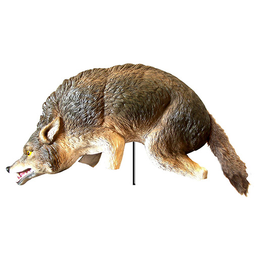 Coyote Decoy